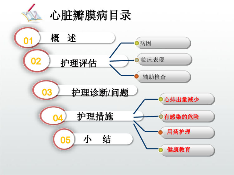 心脏瓣膜病护理PPT