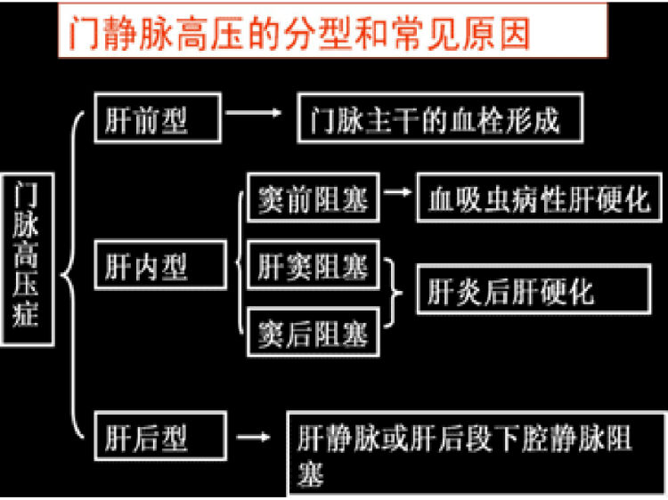 门静脉高压症护理PPT