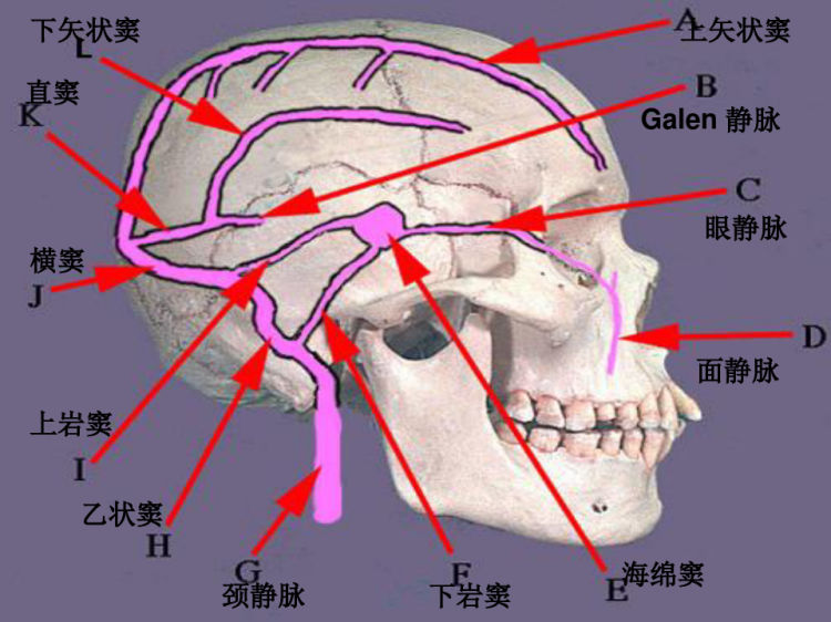 脑静脉系血栓形成指导规范PPT