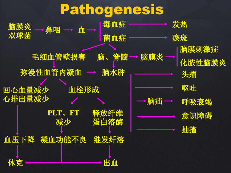 流行性脑脊髓膜炎PPT