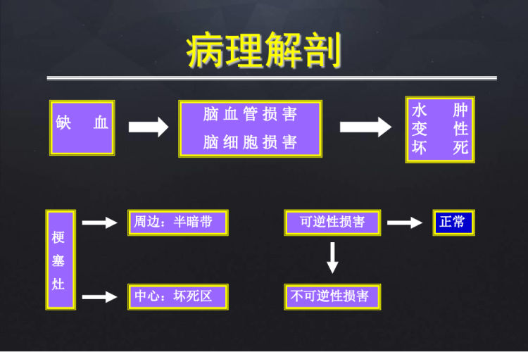 脑梗塞分型分期治疗PPT