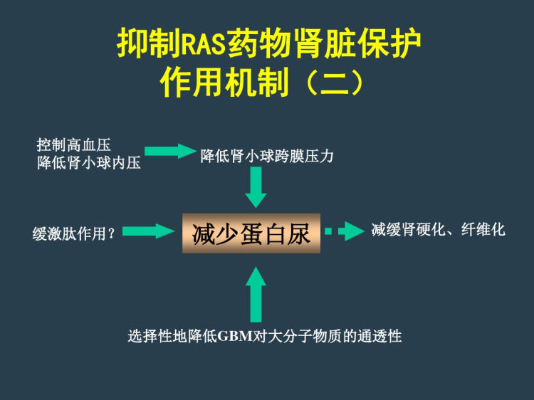 ACE抑制剂在肾病中应用共识PPT