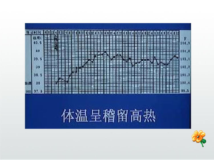 流行性乙脑患者的护理PPT