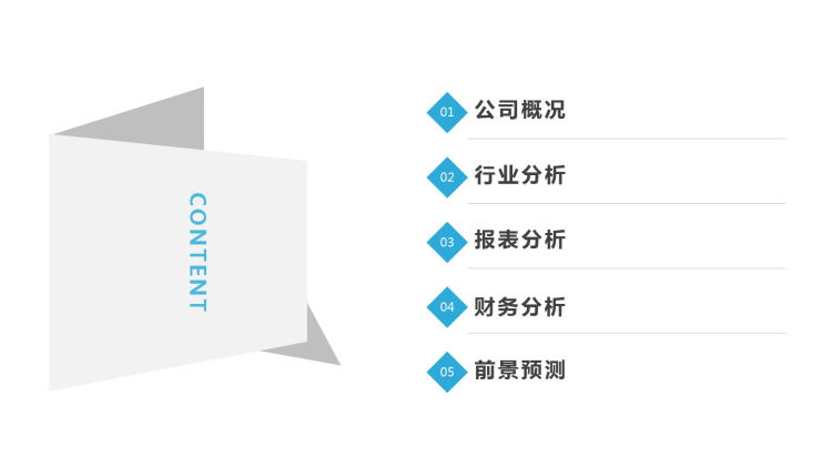 服装服饰公司财务报表分析报告PPT企业概况行业前景预测PPT