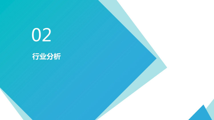 服装服饰公司财务报表分析报告PPT企业概况行业前景预测PPT