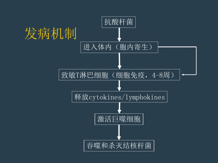 小儿童肺结核影像诊断PPT