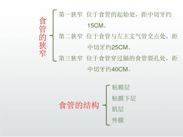 食管癌护理查房PPT