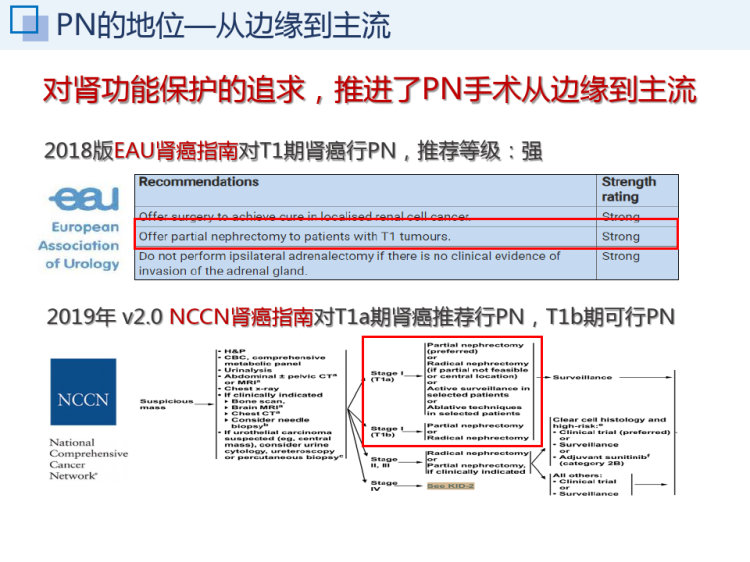 把握原则做PN保肾又保功PPT