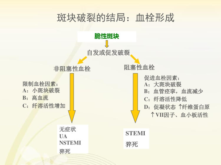 心肌梗死查房PPT