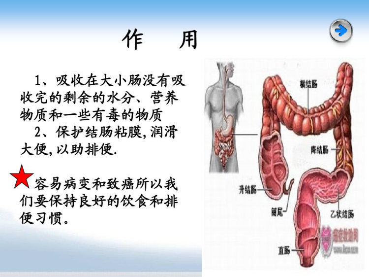 灌肠PPT