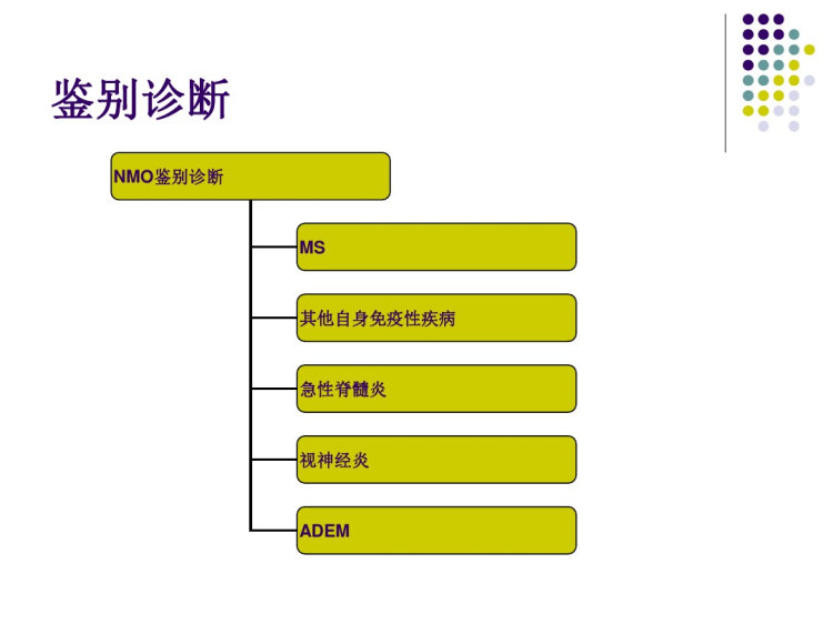 视神经脊髓炎PPT