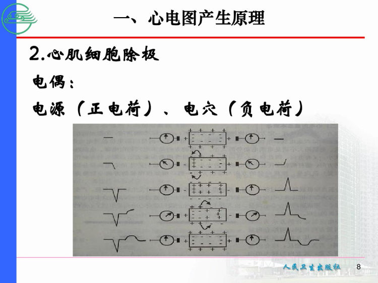 心电图基本知识PPT