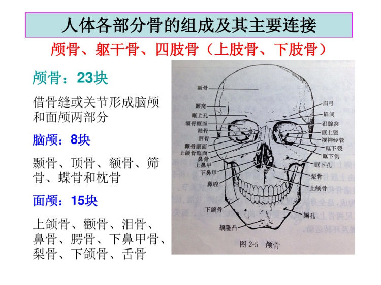 基础医学知识PPT