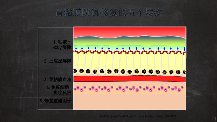 内科胃炎PPT课件