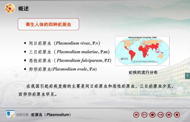 人卫版疟原虫PPT教学课件