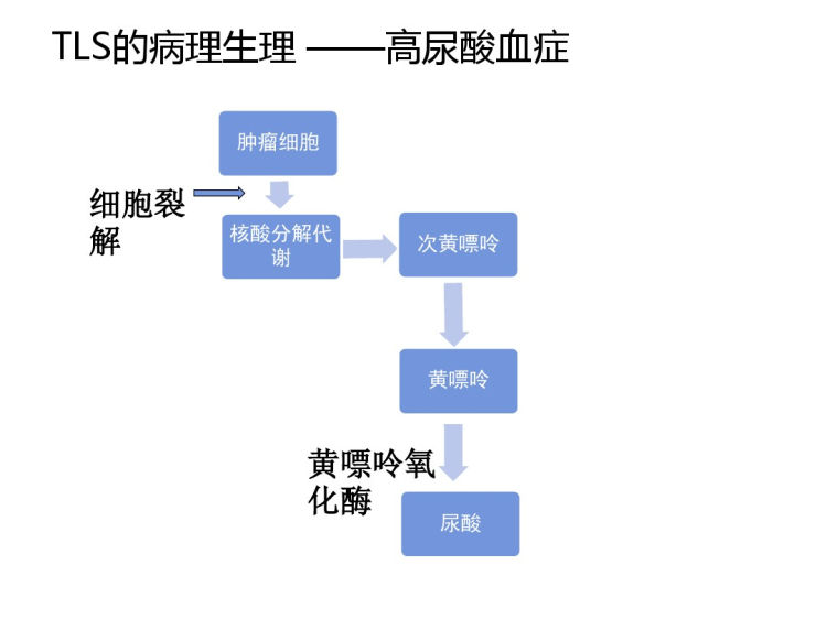 妇科肿瘤急症识别与处理PPT