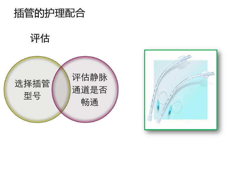 气管插管和气道湿化PPT