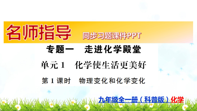 九年级科普版初三全一册化学同步习题全册复习PPT课件