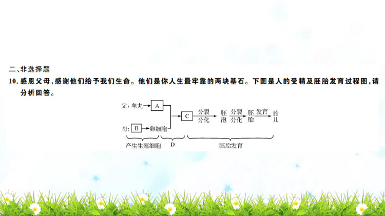 七年级人教版初一下册生物导学练全册复习PPT课件