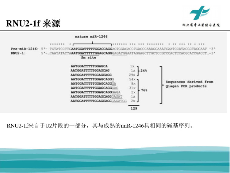 血清RNUf联合CACA检测在结直肠癌早期诊断价值研究PPT