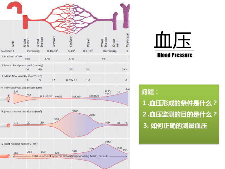 创伤性休克护理PPT