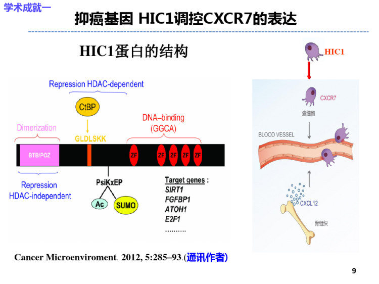 微环境在肿瘤发展治疗中作用PPT