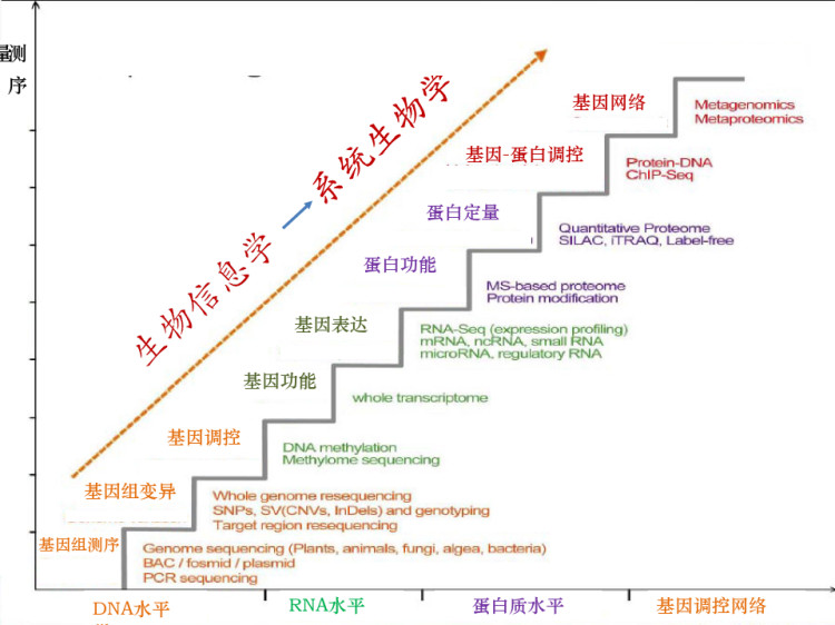 个人健康管理中生物大数据应用及分析PPT