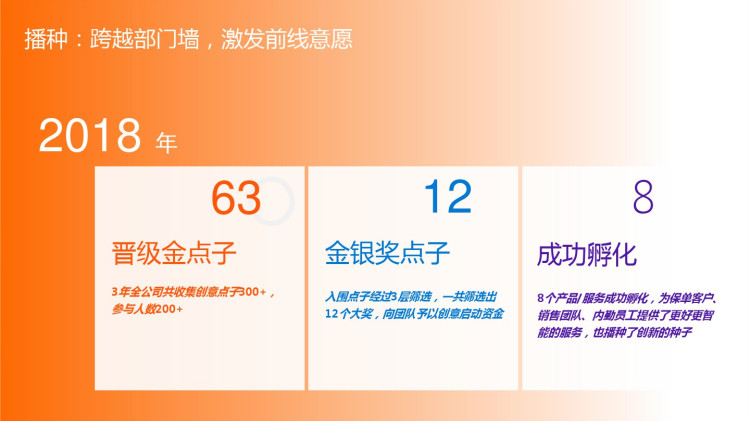 保险行业的组织级项目战略管理PPT