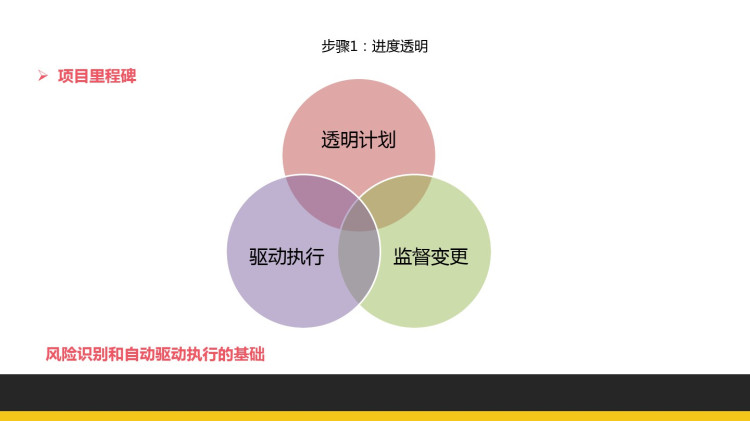 企业应用全景研发项目实践PPT