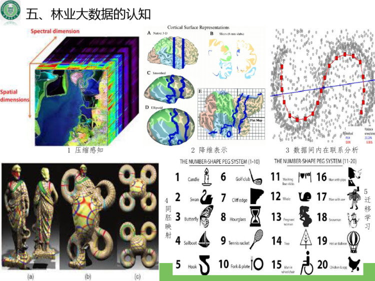 激光点云与机器视觉技术在林业中的应用研究PPT