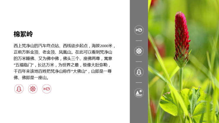 介绍梵净山景区PPT