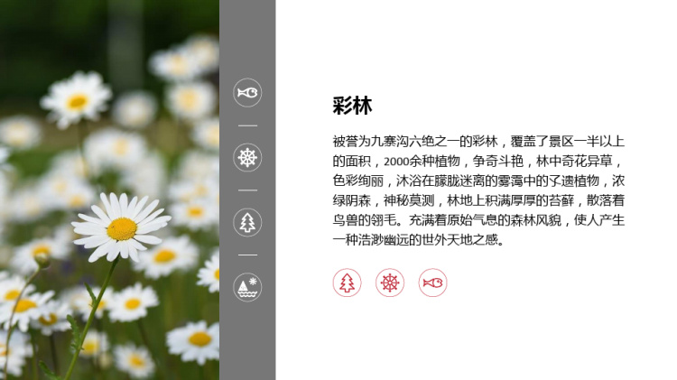 介绍九寨沟景区PPT