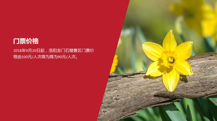 介绍龙门石窟PPT 我的家乡城市电子相册幻灯片