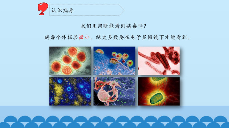 科学小学五年级青岛版上册全册PPT课件