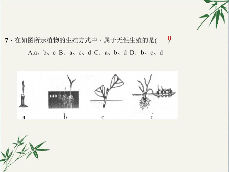 人教版八年级初二生物下册PPT课件