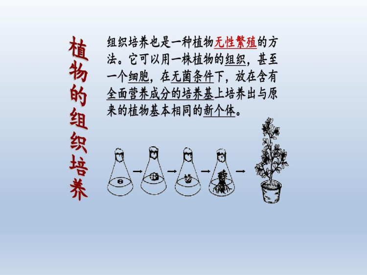 鲁科版八年级初二生物下册全册PPT课件