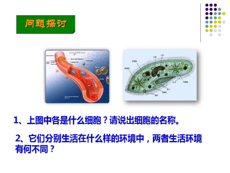 人教版高二生物必修3：稳态与环境全册PPT课件