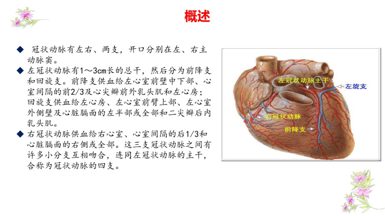 冠心病冠脉搭桥术护理查房PPT