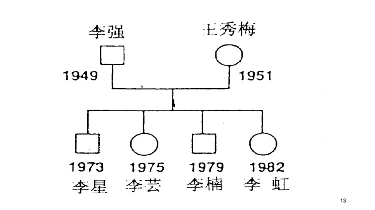 社区护理之家庭护理程序评估PPT