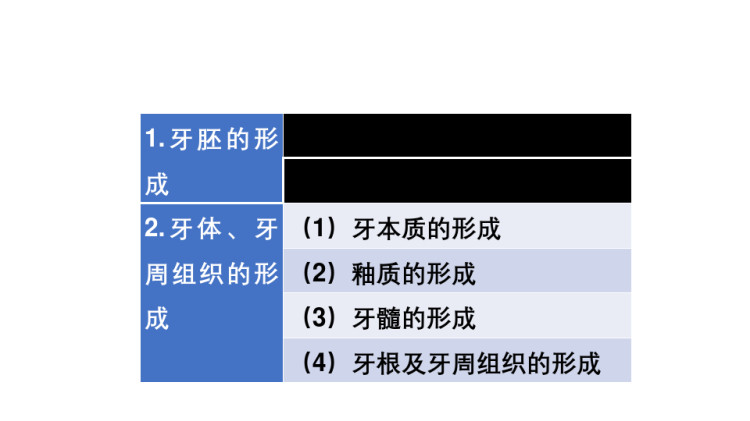 口腔组织病理学之牙的发育PPT