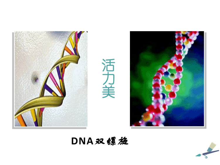 中职语文之科学是美丽的PPT