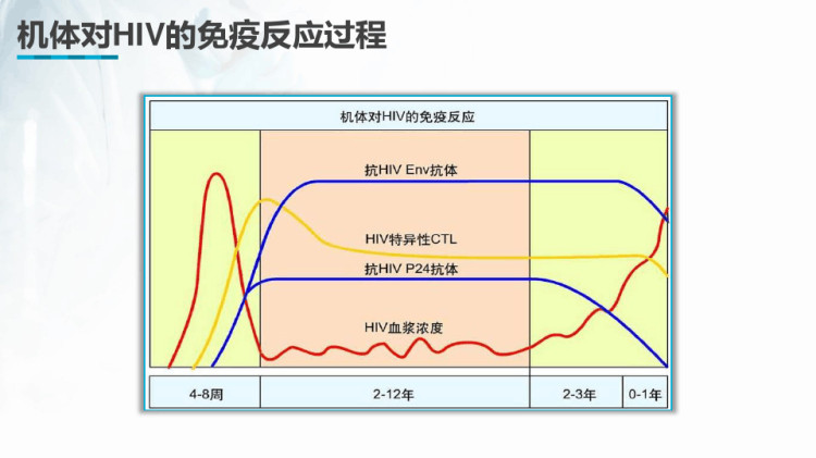 临床免疫检验之AIDS检验技术PPT