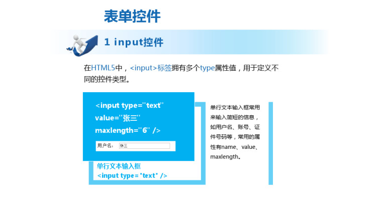 使用HTML开发商业网站表单控件input课件PPT