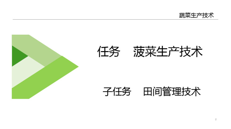 菠菜田间管理技术PPT