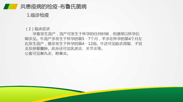 共患疫病的检疫布鲁氏菌病PPT