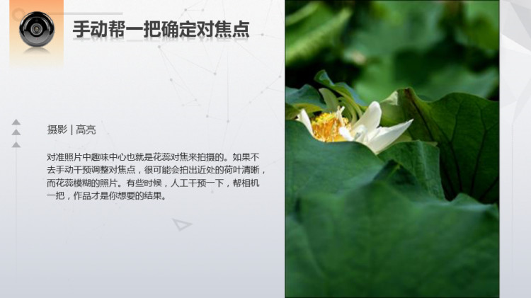 教师摄影技能训练课件之选好焦点仔细拍PPT