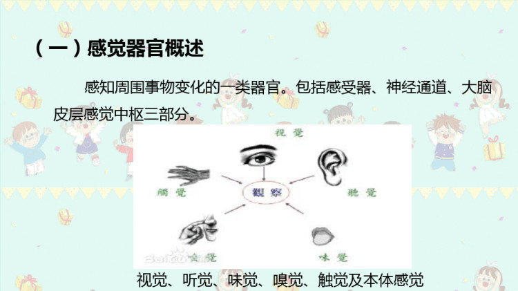 幼儿卫生保健之感觉器官发育特点与卫生保健PPT