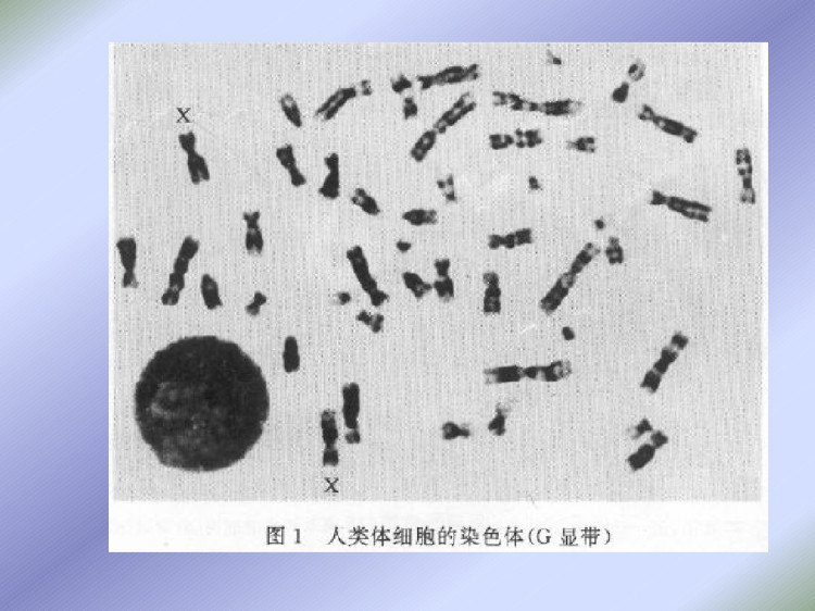 儿科遗传代谢性疾病规范PPT