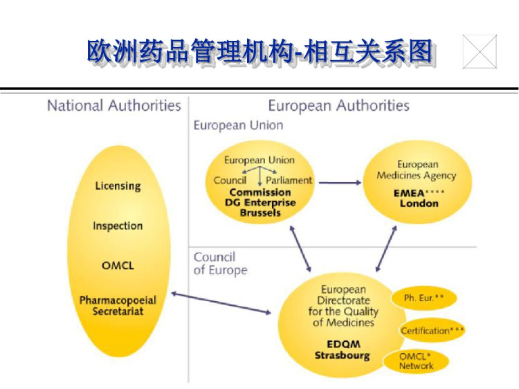 欧洲药品管理简介DH详解PPT