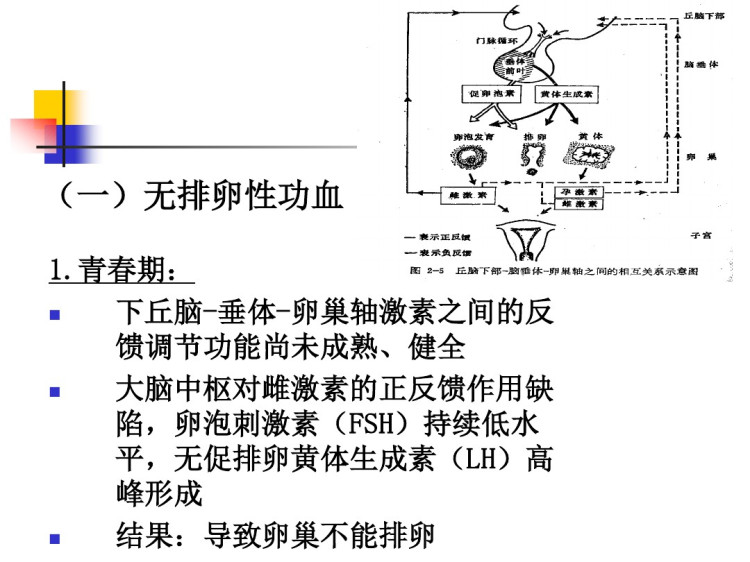 月经失调的护理与病例PPT